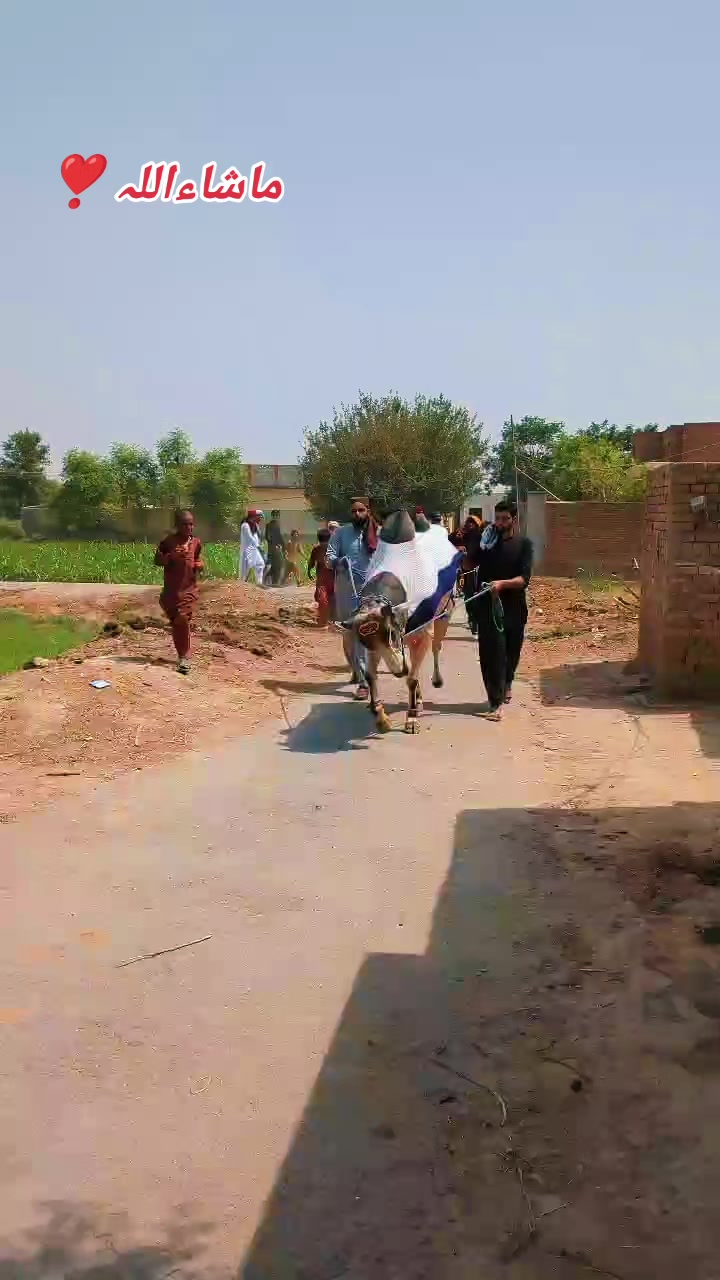 @چوہدری شاہد سلیم مڑل