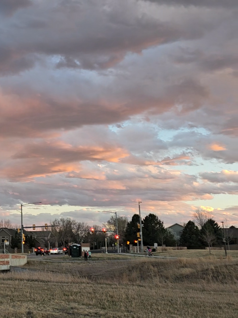 @Jordan Lynn