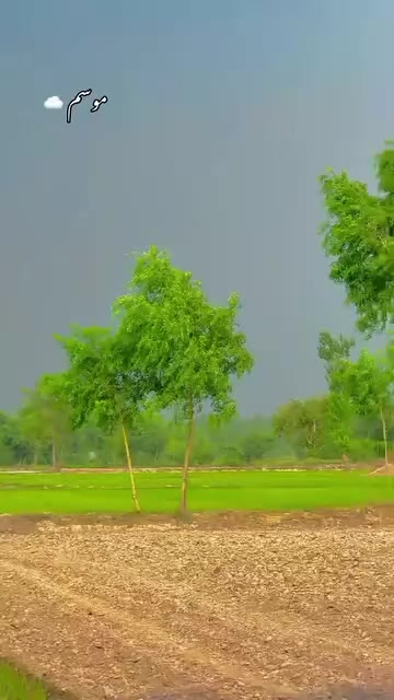 @Irtaza 267