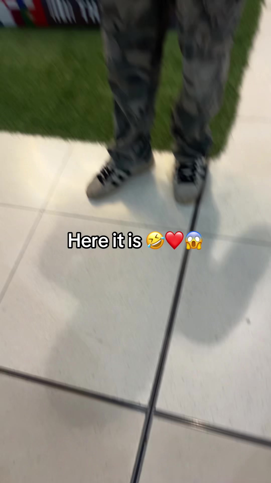 @yamolly___