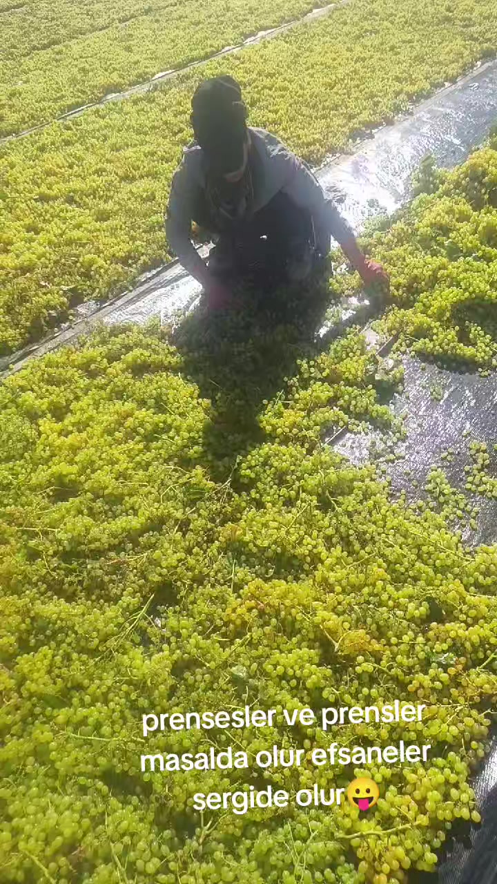@emoş