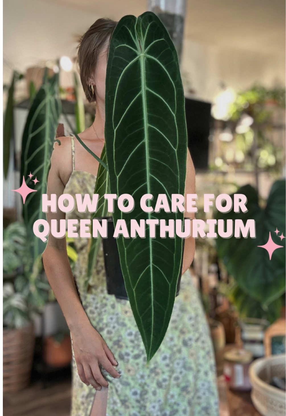 @theplantgirl_diaries