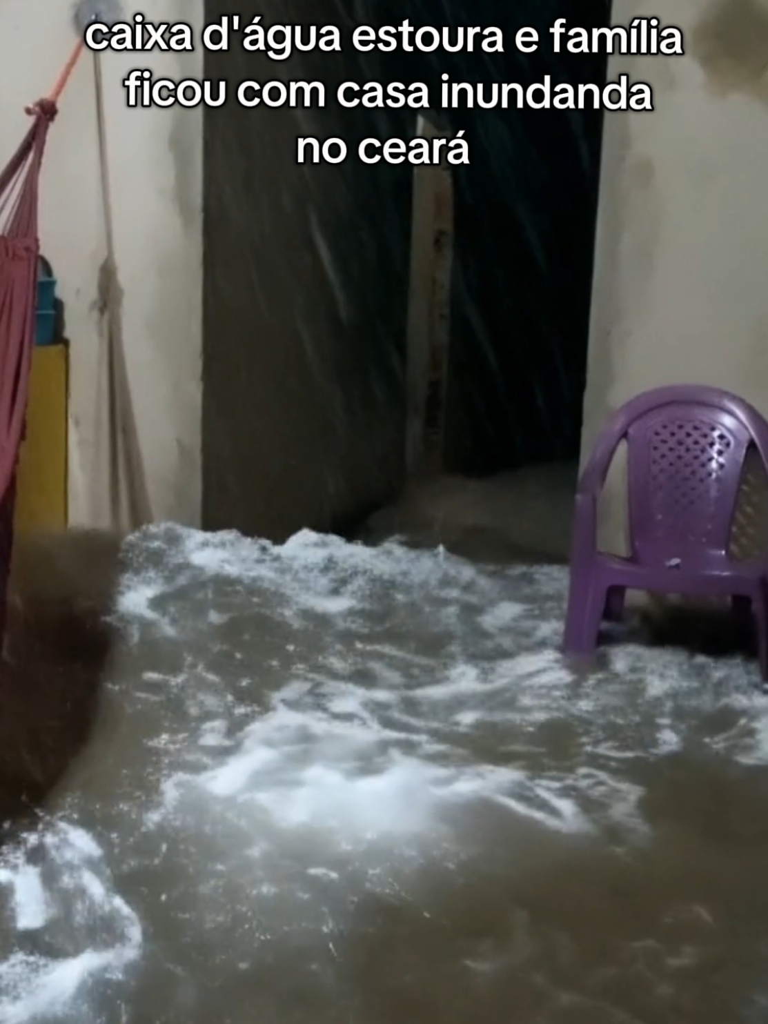 @Zé Batista