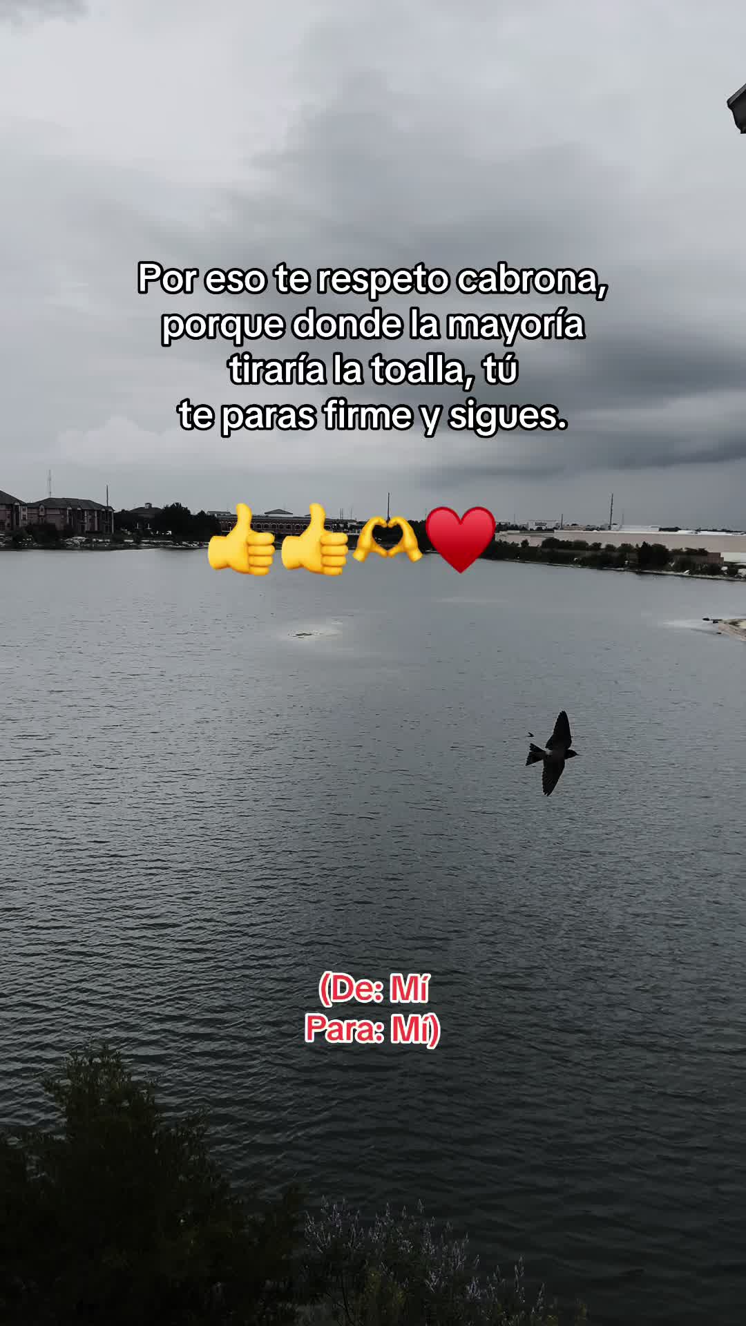 @❤️REYES❤️