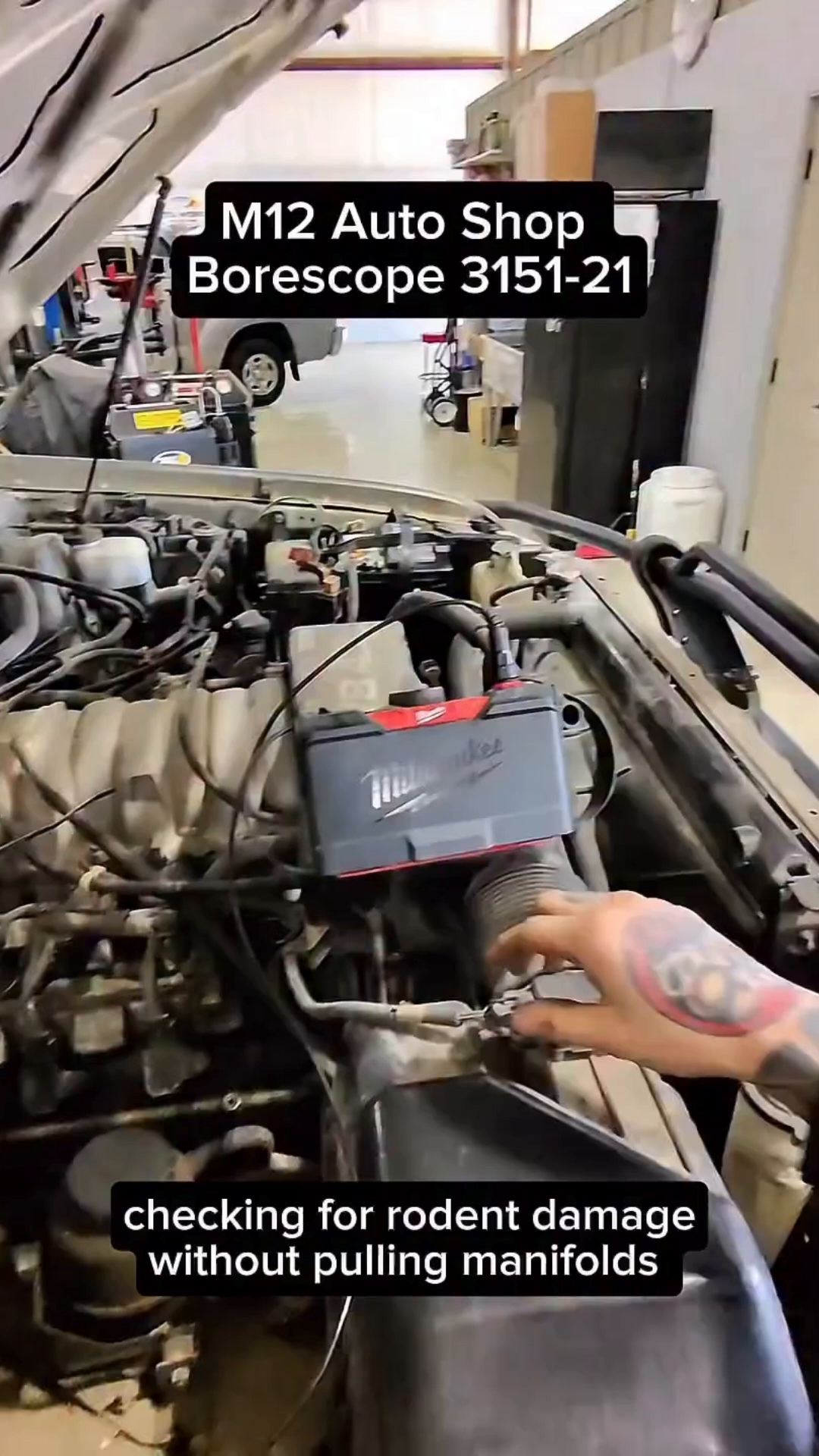 @Milwaukee Tool