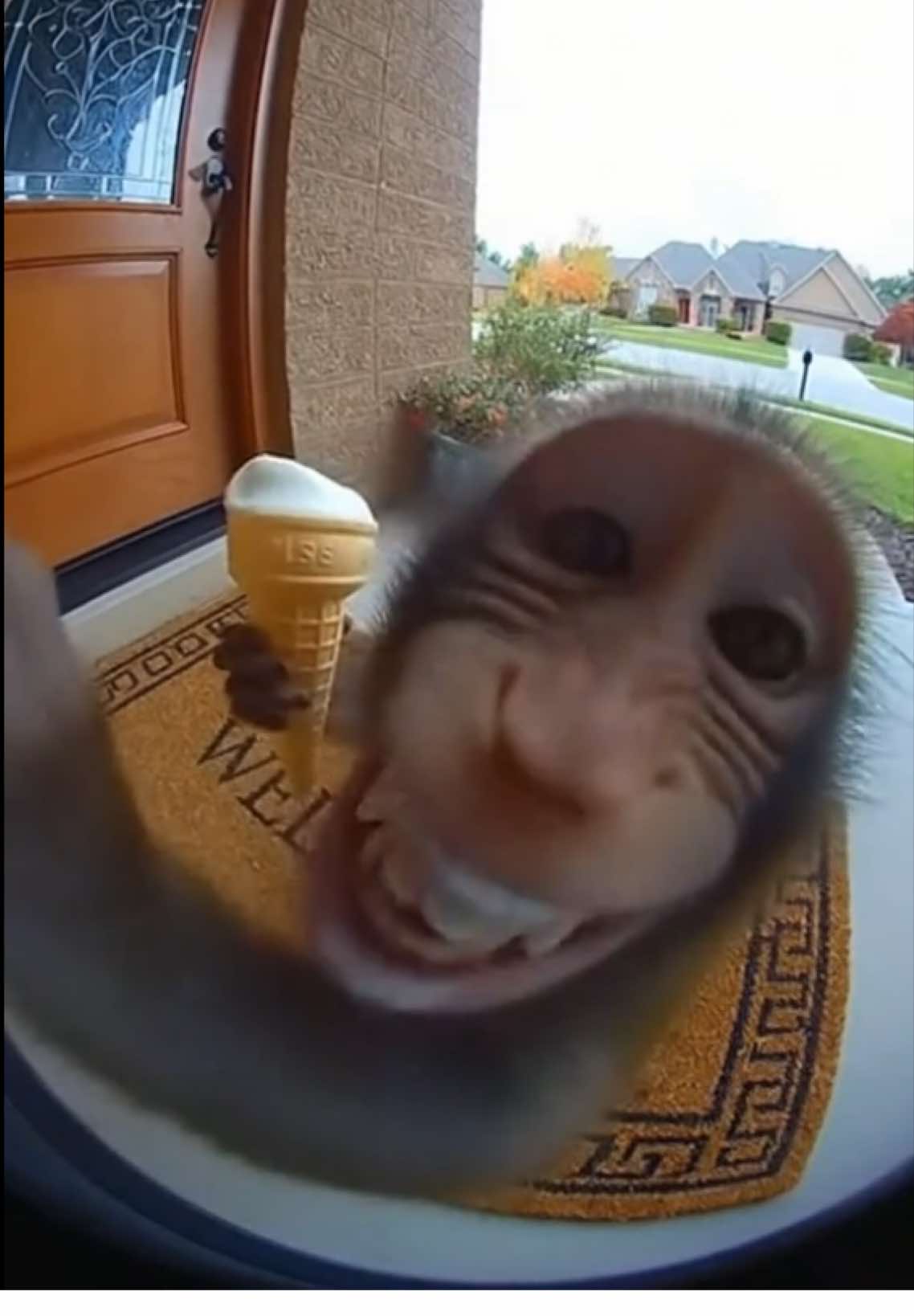 @BrainrotMemes