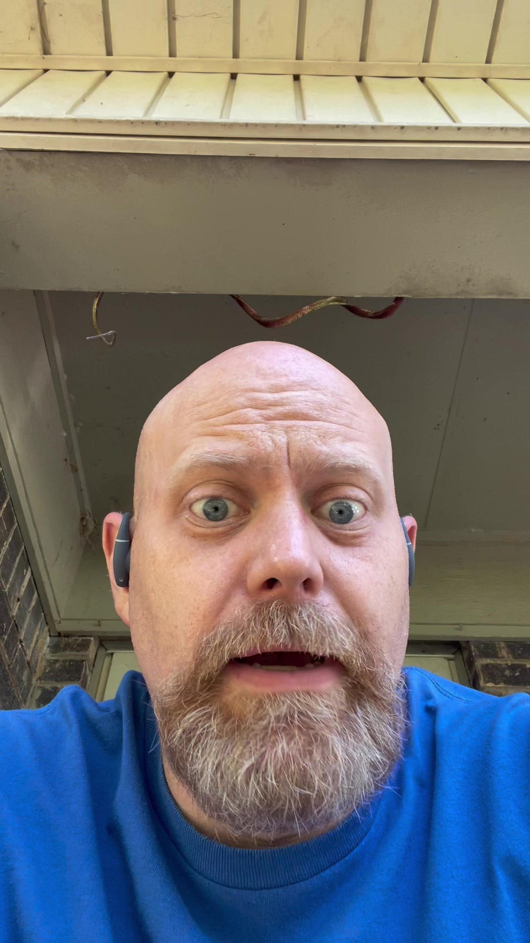 @brianshouseofrandom