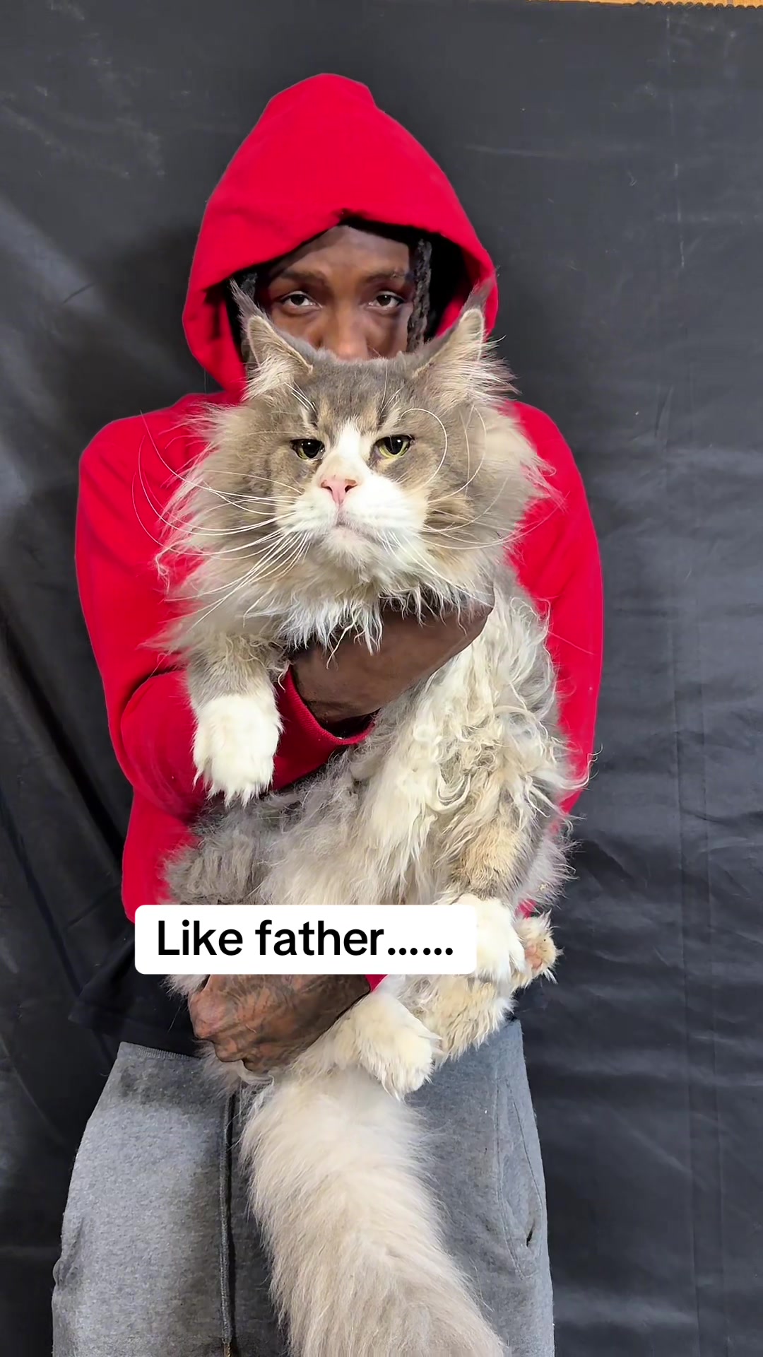 @Tycoon_Mainecoons