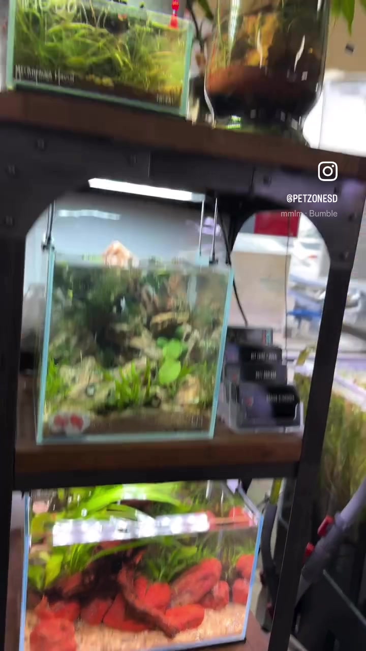@PetZoneSD