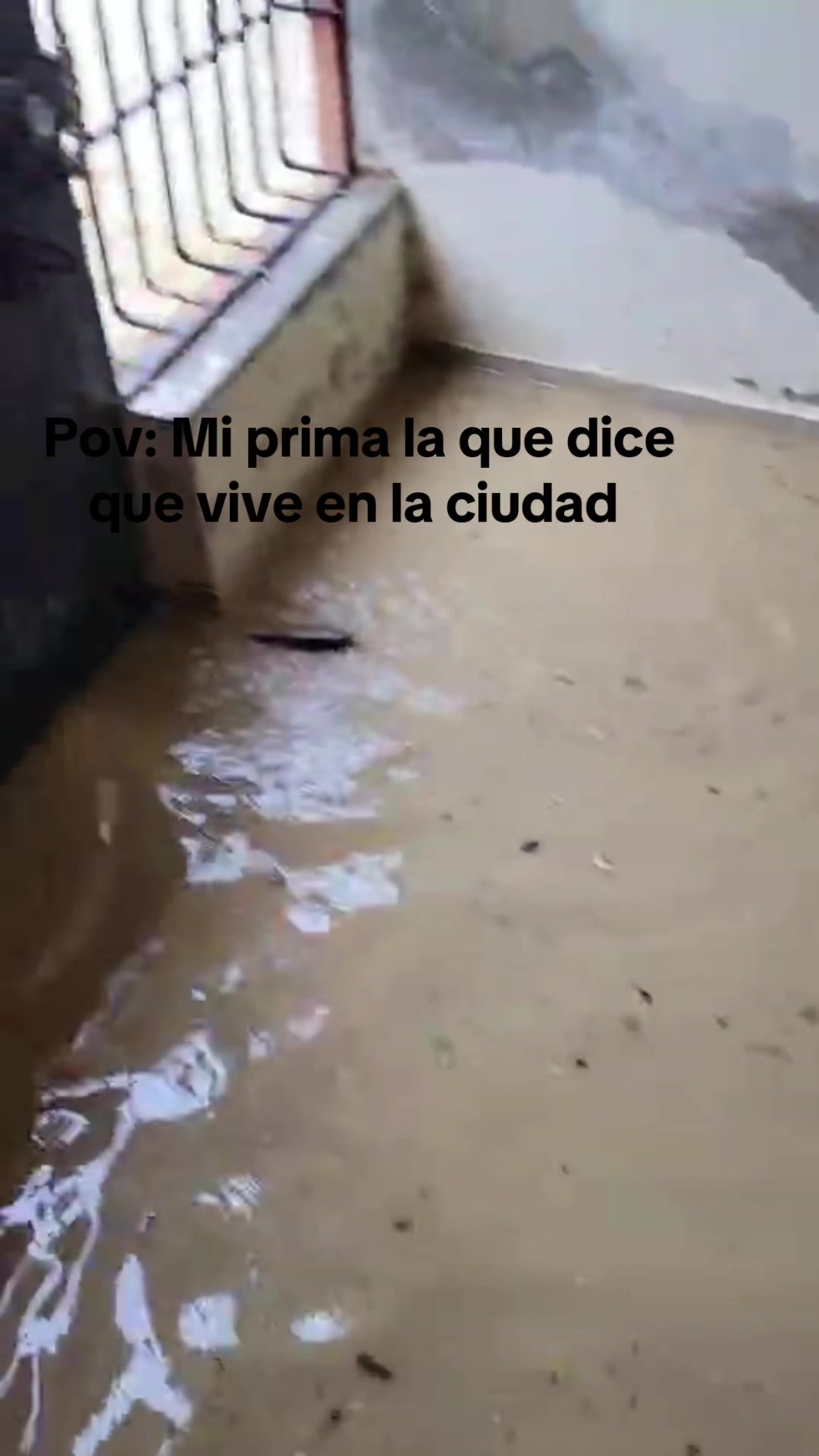 @️Jari soto ✨