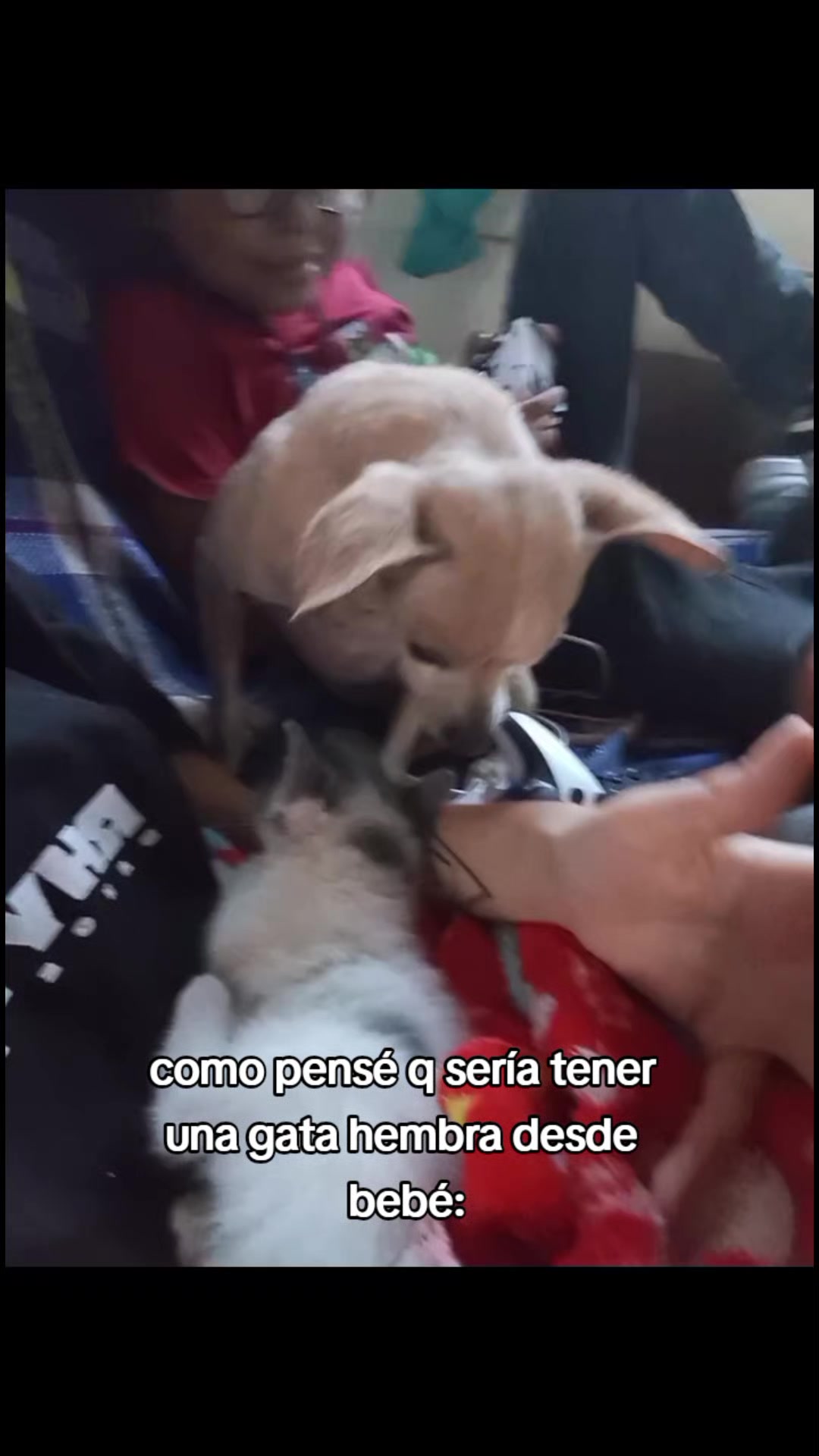 @🦇Danny🦇