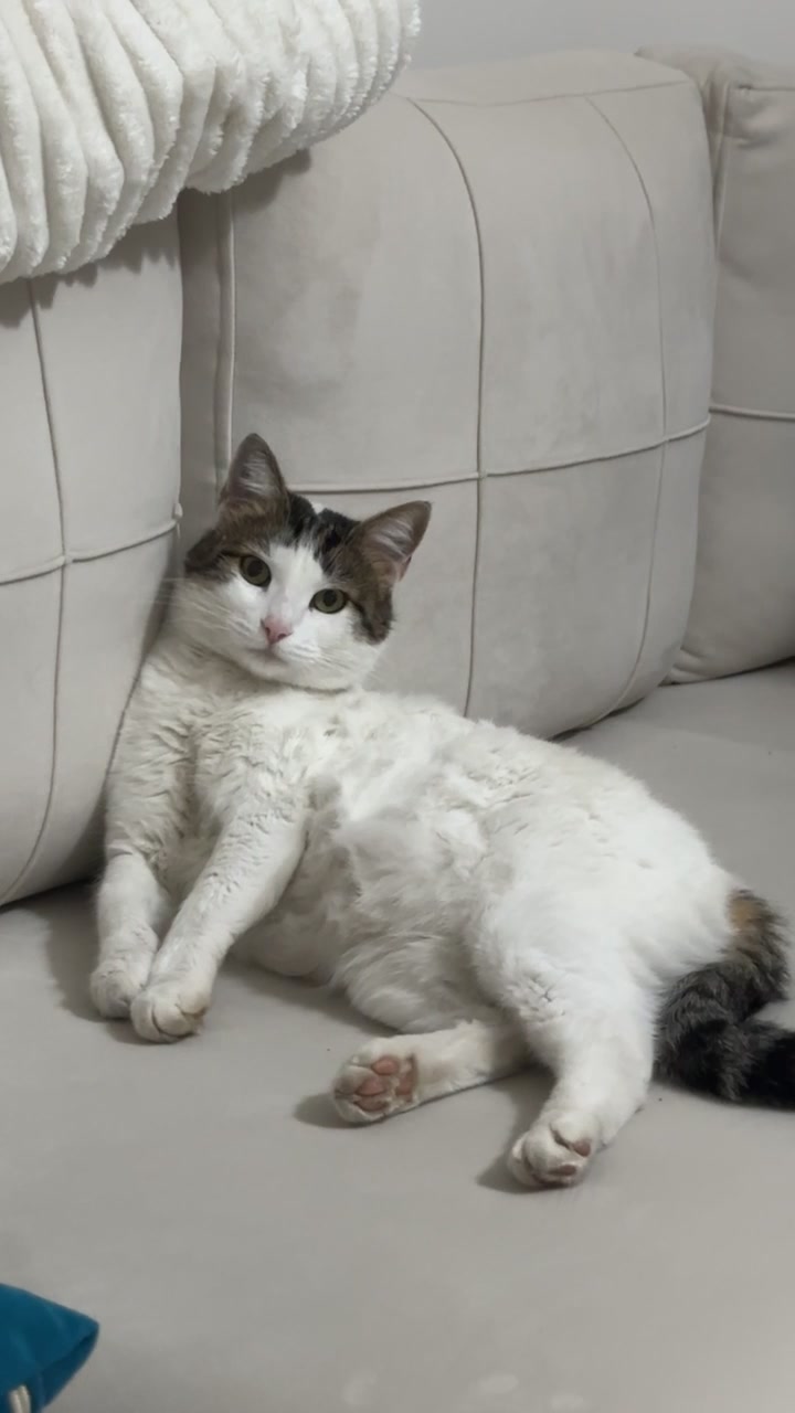 @Kiki