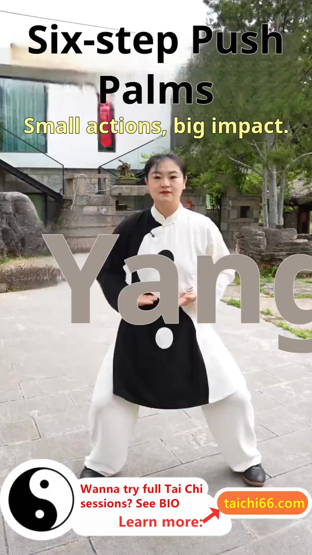 @HuaKai Taichi