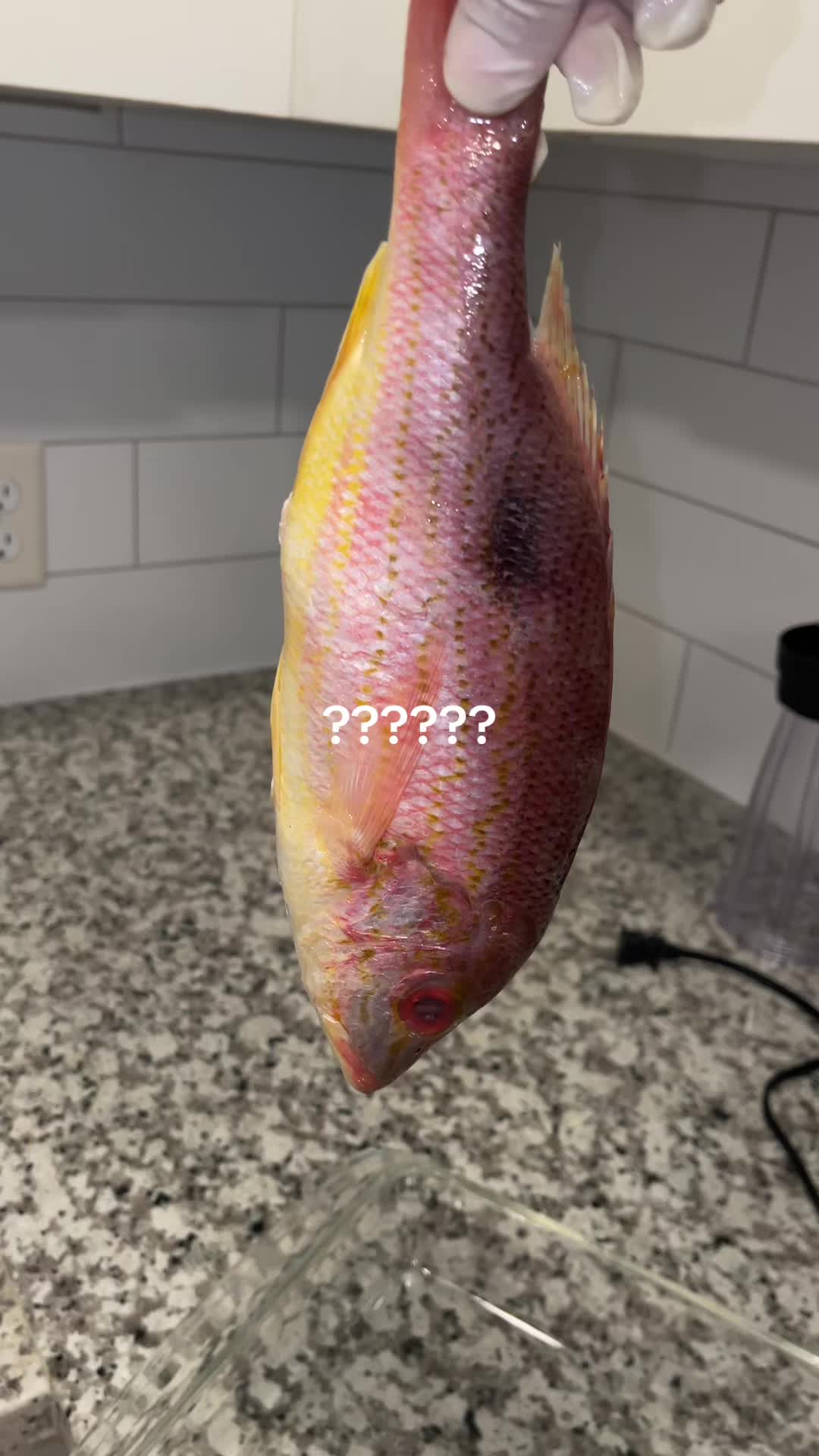 @C H A N E L