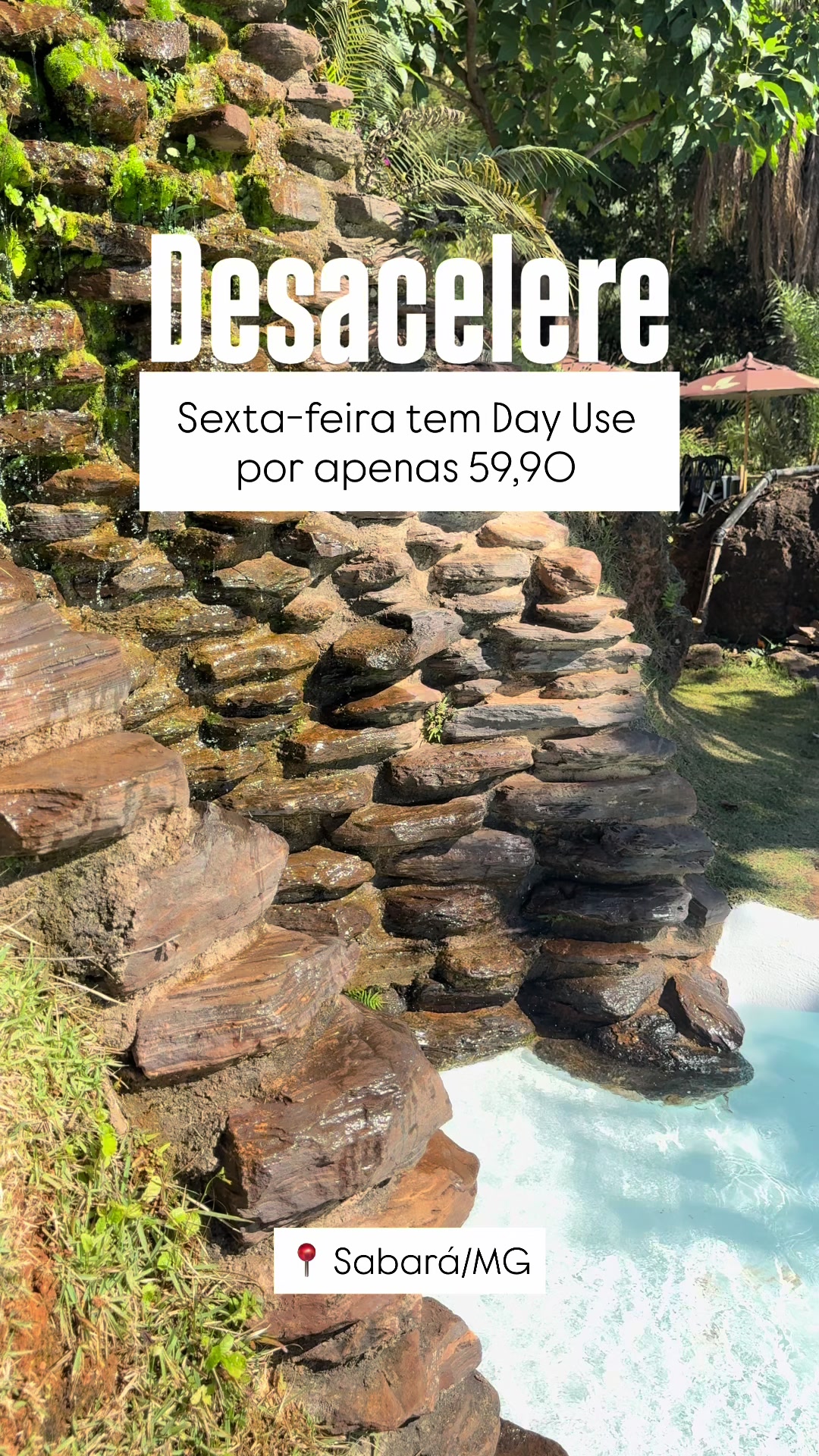 @Triângulo Aquapônico