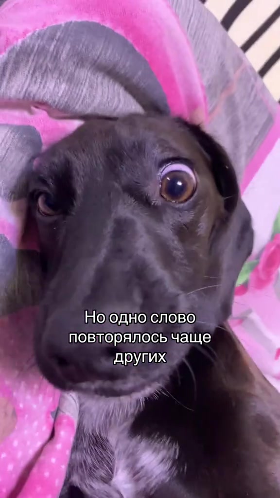 @blinalbin