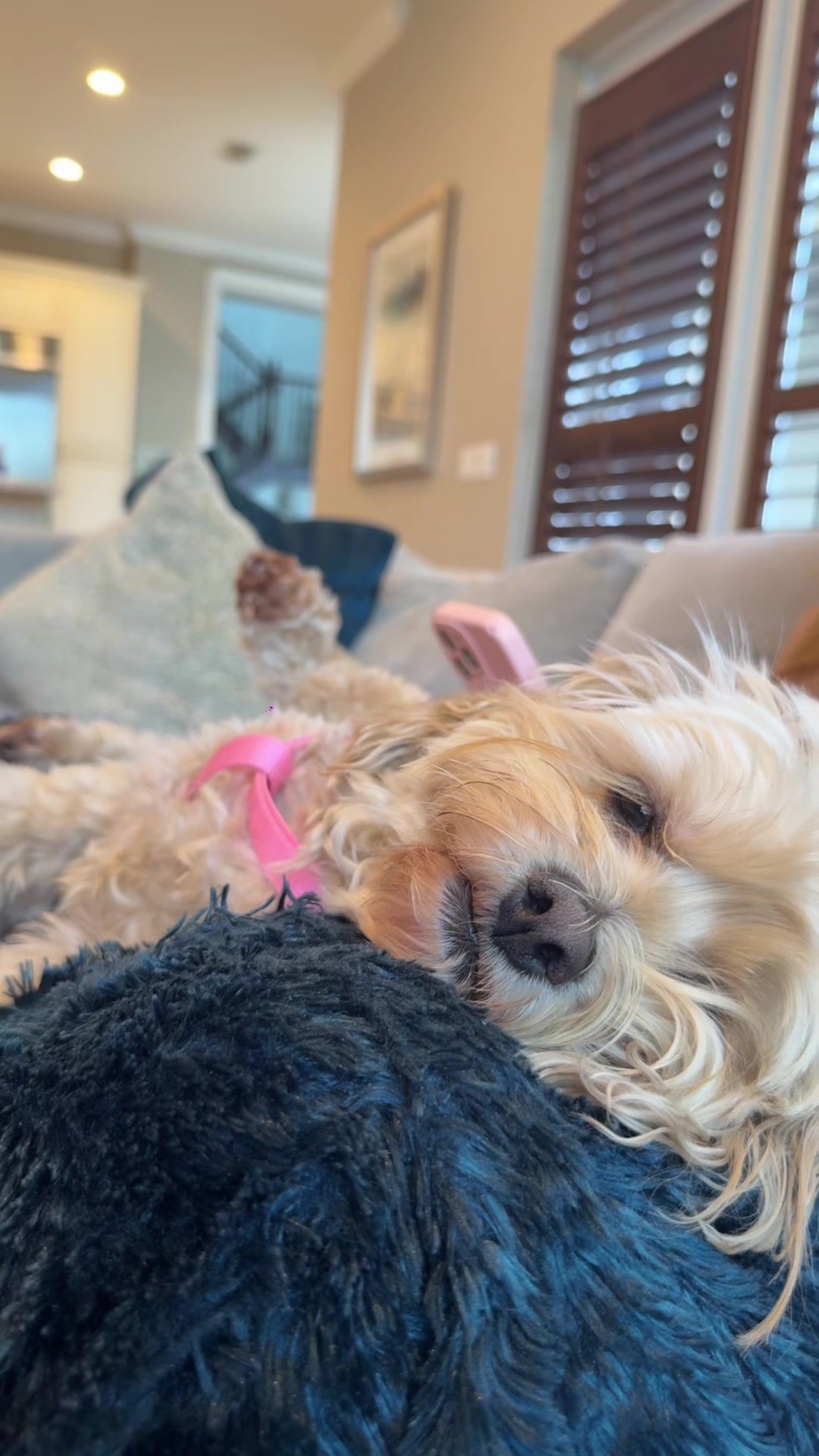 @Blake