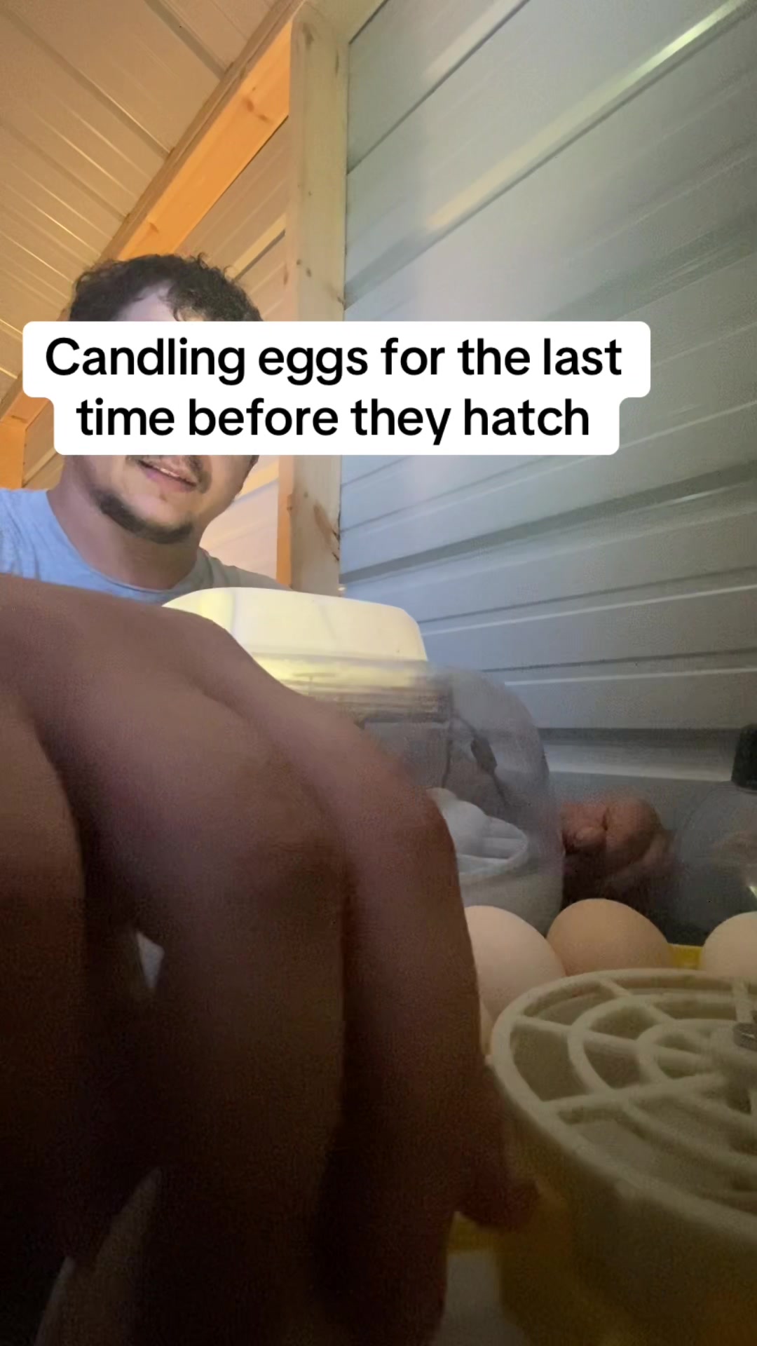 @Jamie Lee