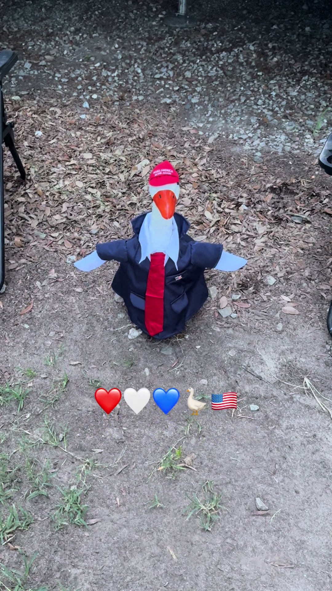 @thecoobsfamily