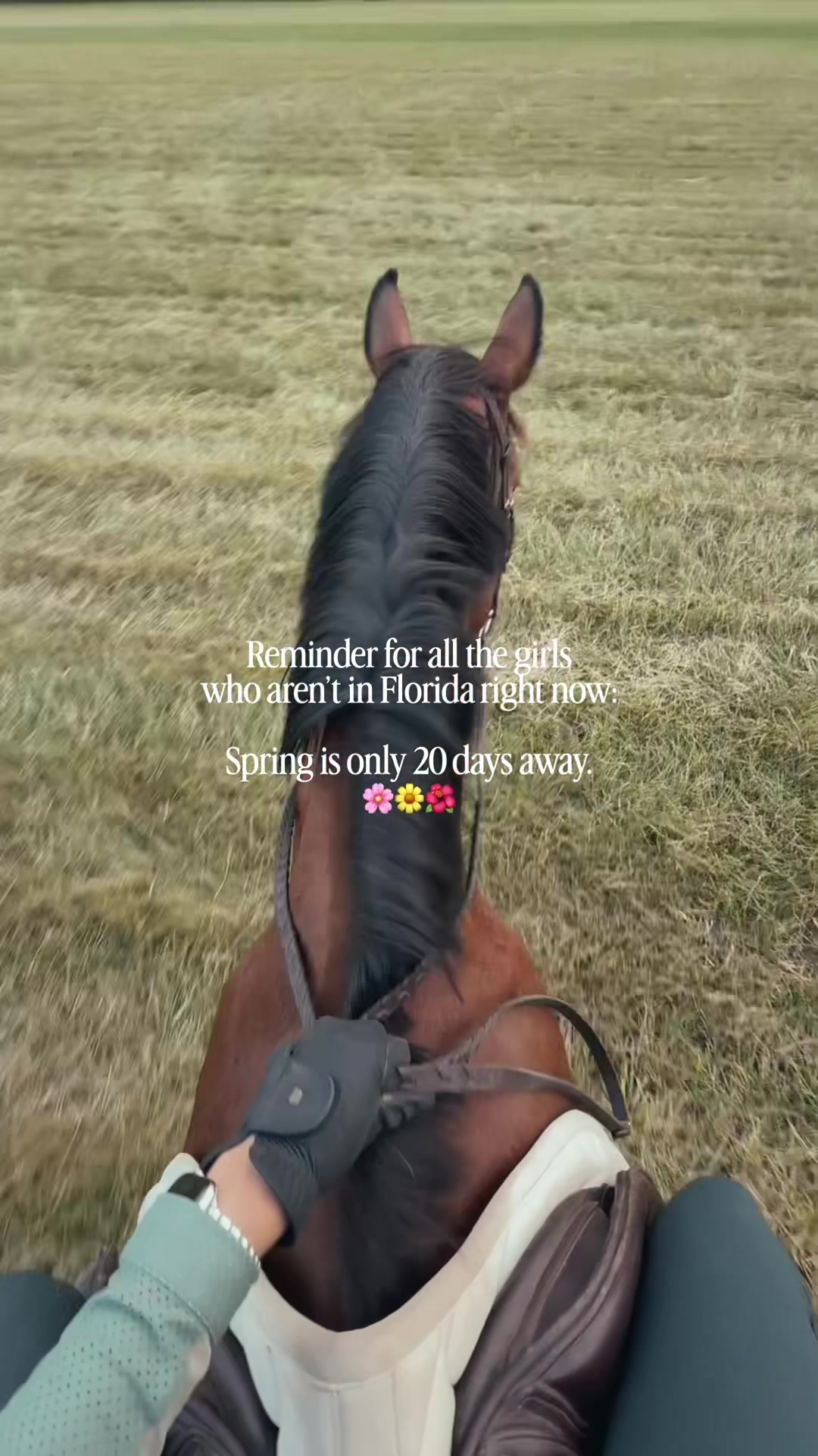 @Bethanie | Style & Horses๐ฅ
