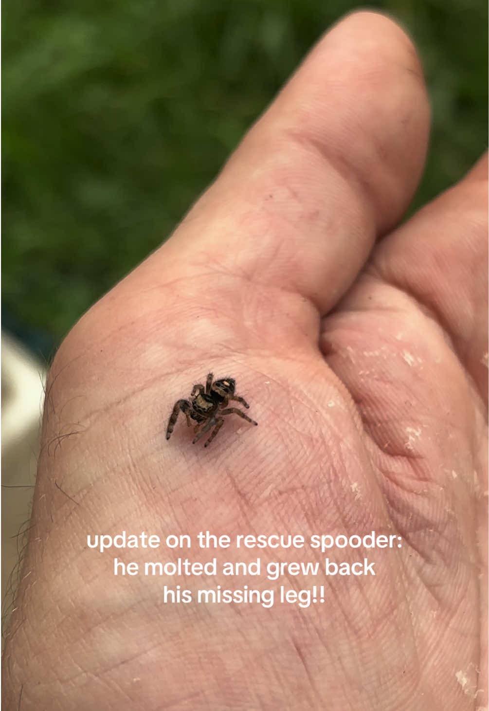 @okcrawdaddy