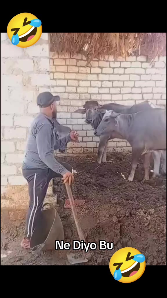 @K&ouml;m&uuml;r G&ouml;zl&uuml;m