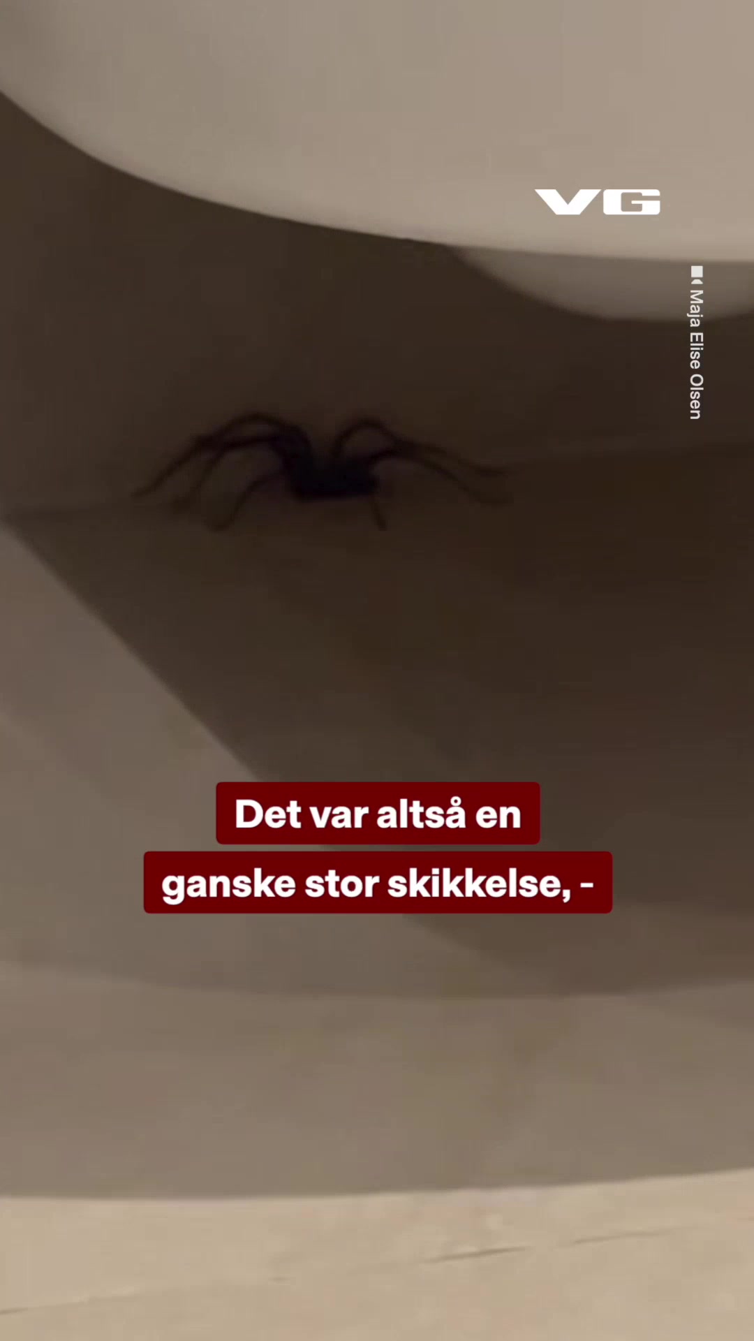 @VG