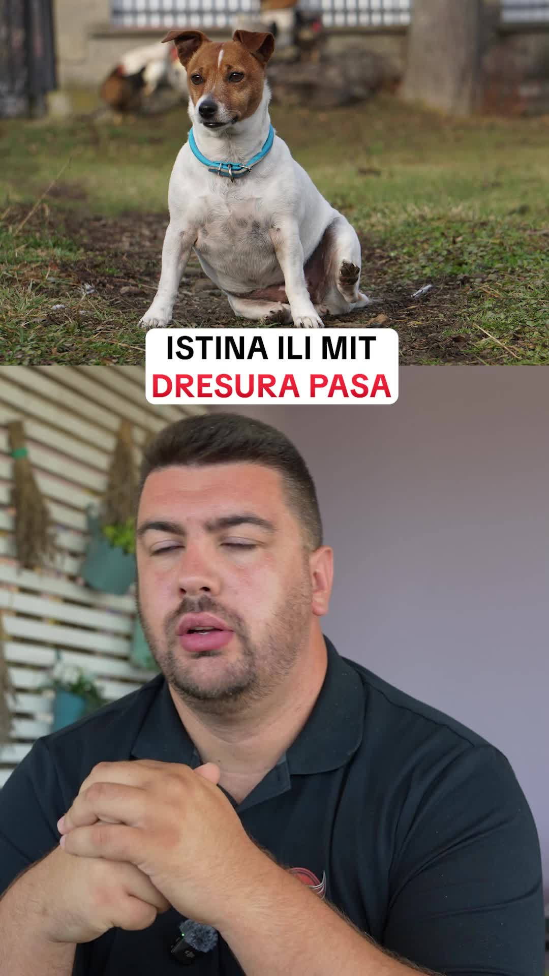 @superdog.akademija