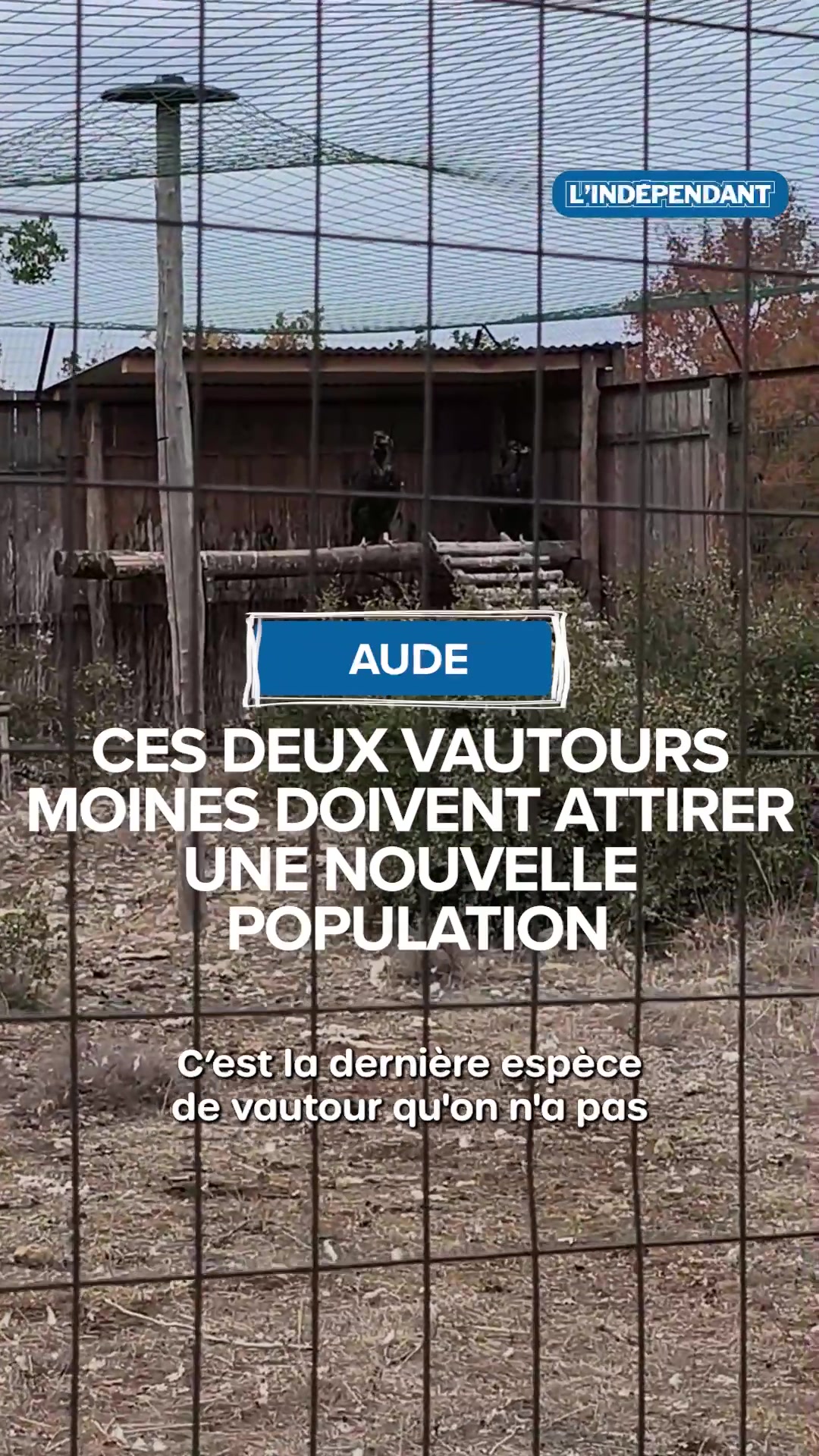 @L'Indépendant