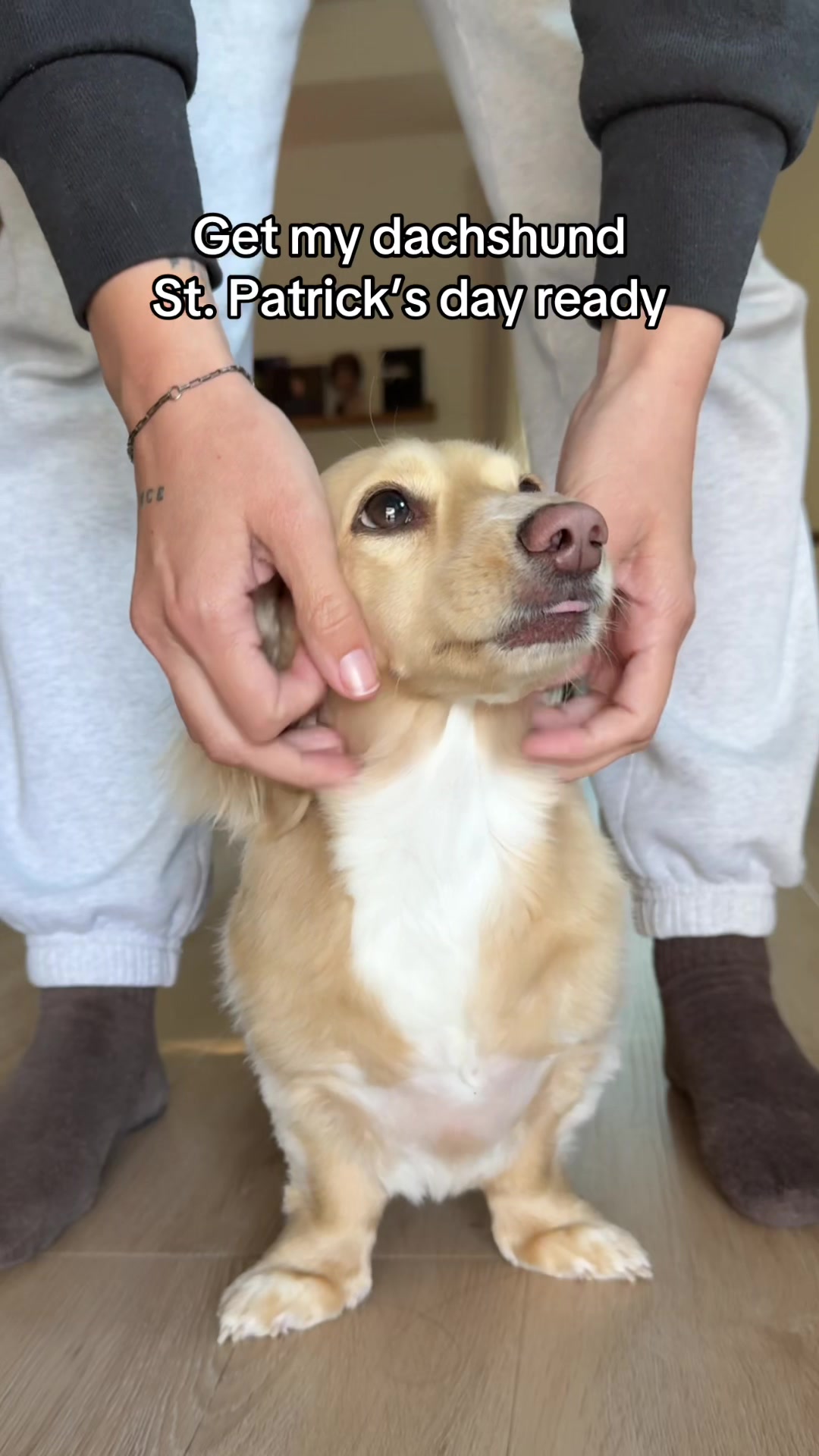 @Billiebeantheween