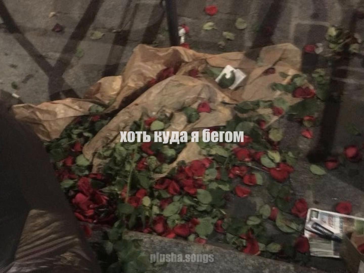 @тгк: songs || plusha