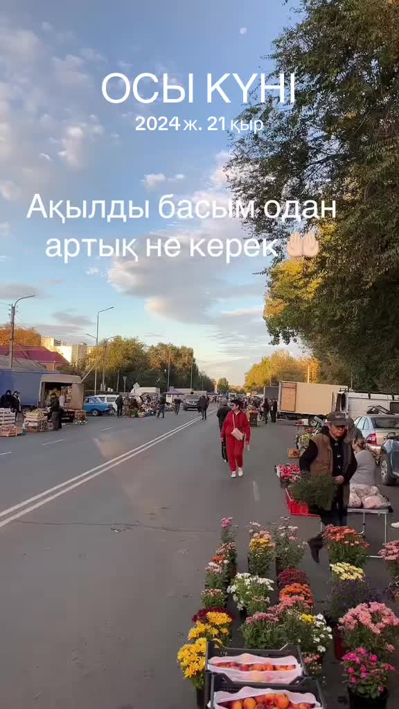 @bauka 2114 🫰🏻