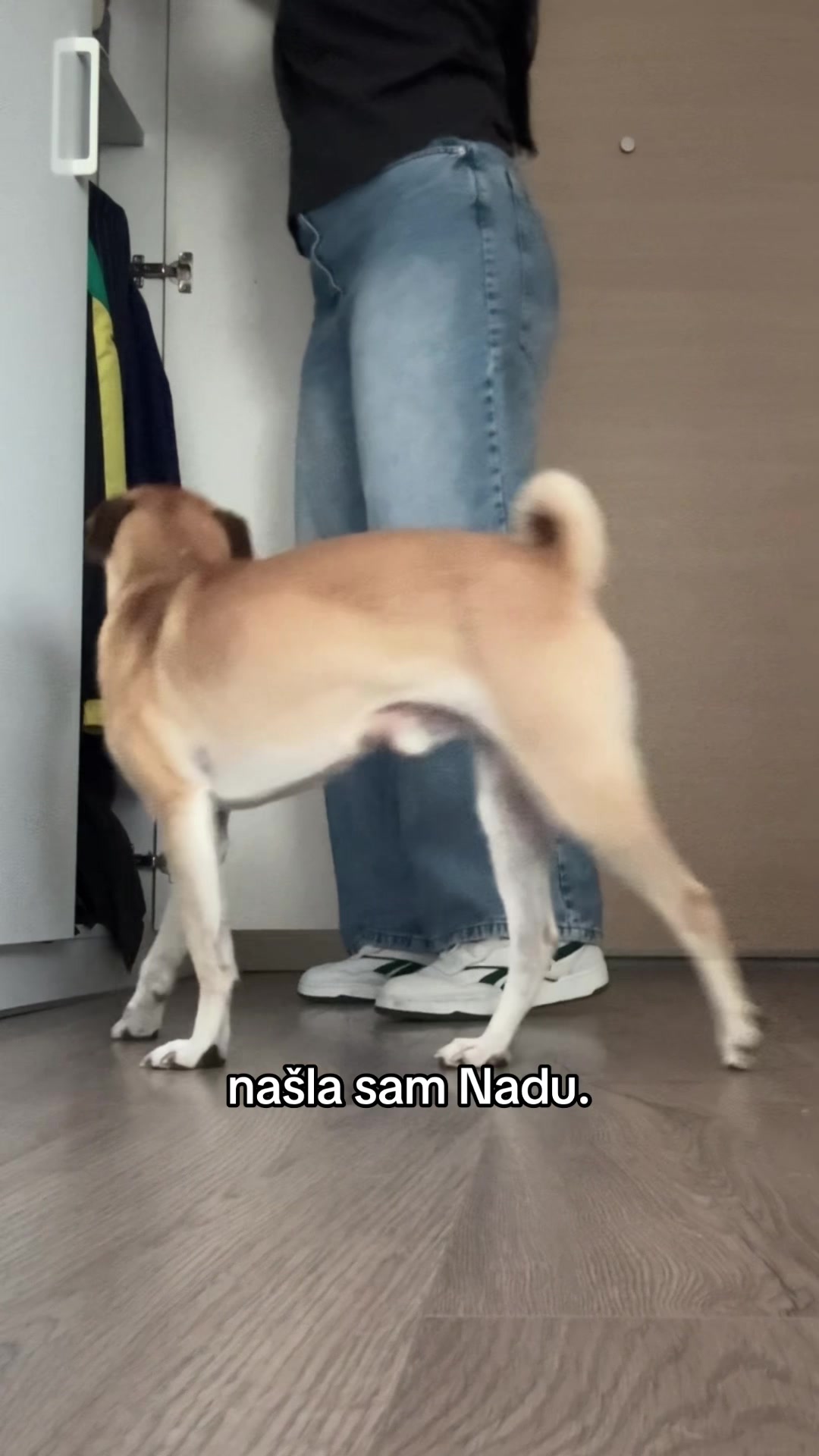 @alimezovusaska