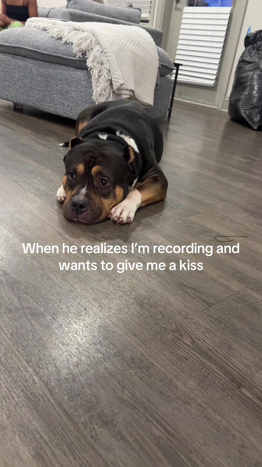 @Kaila