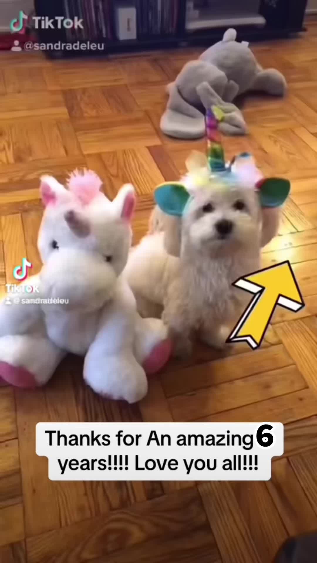 @Booboo