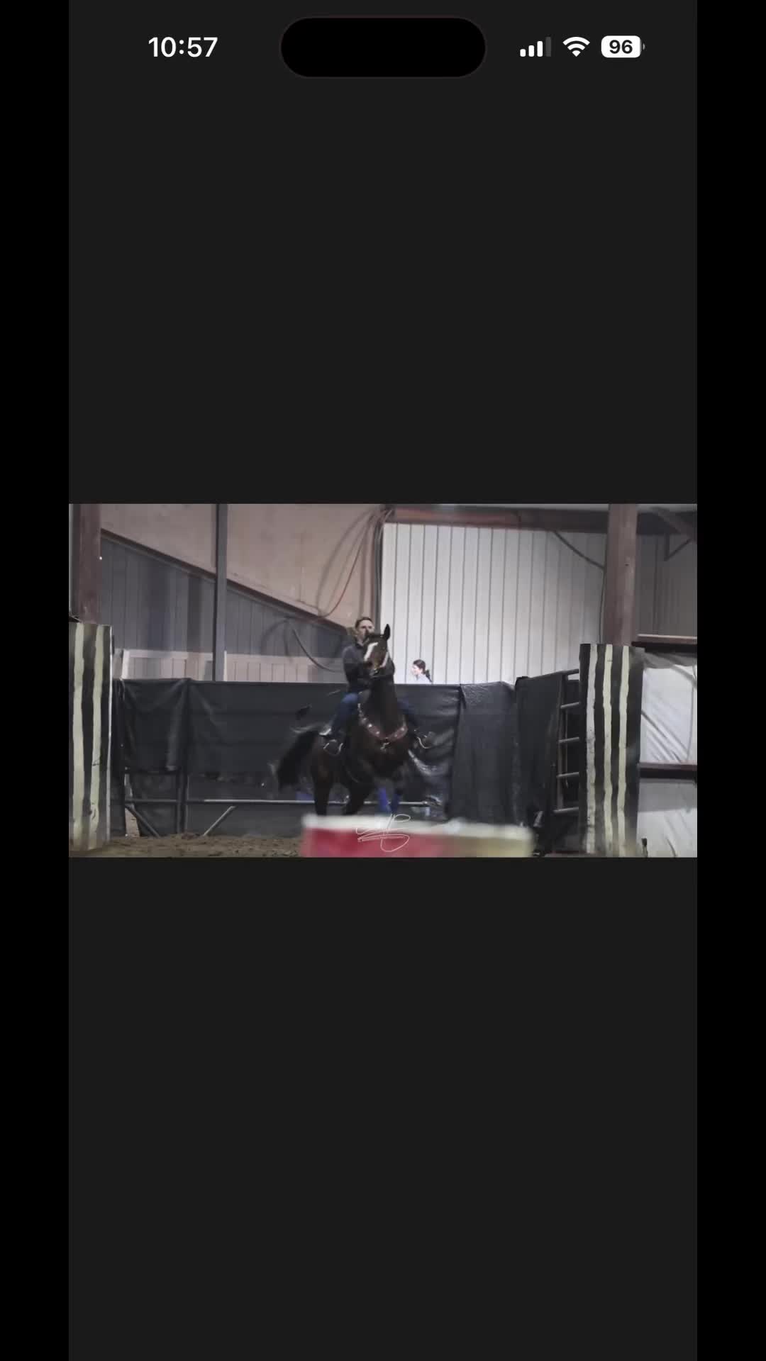 @Rodeogirl31