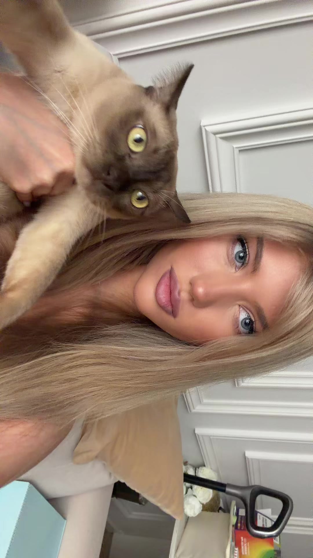 @тгк: kewsai7