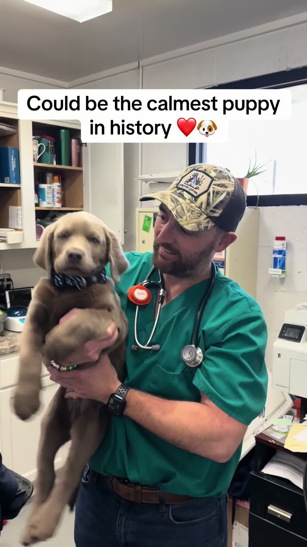 @treybvet