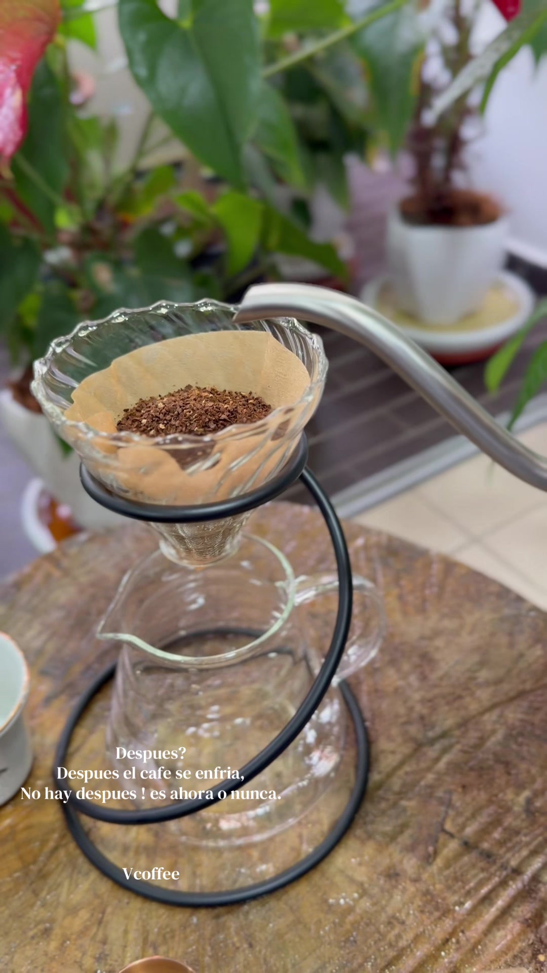 @vincentcoffee2