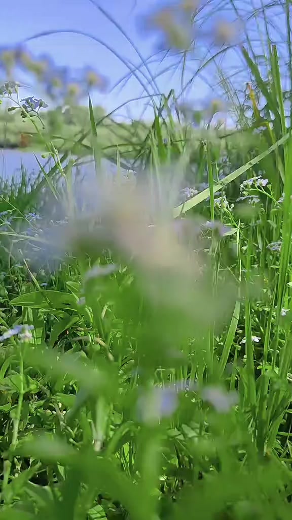@любимые мелодии друзья