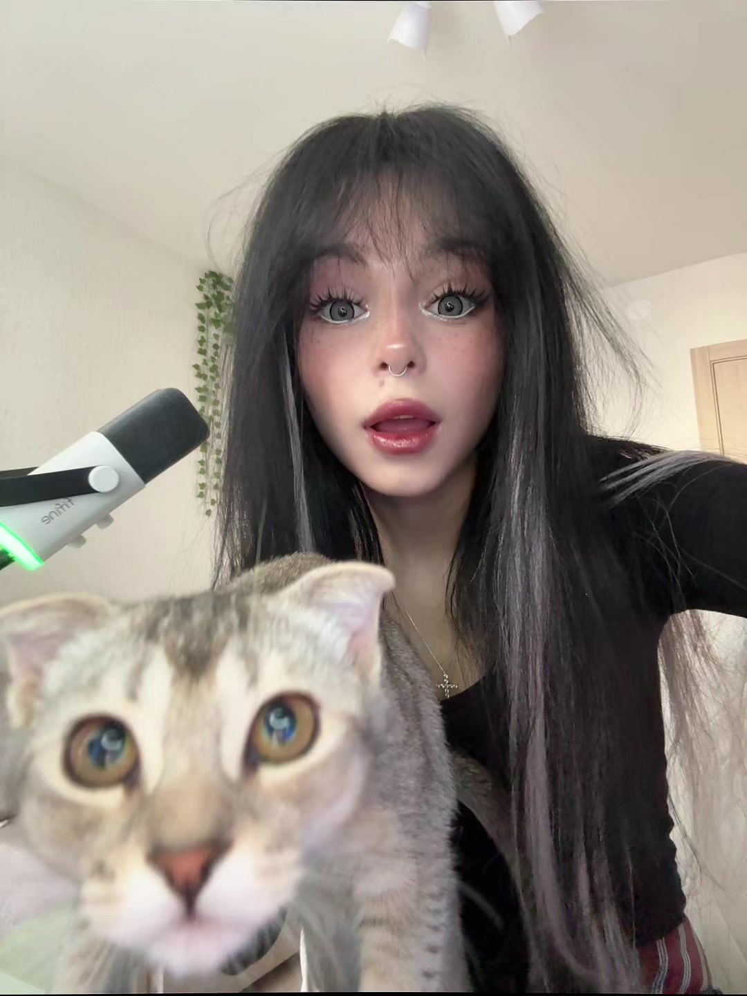 @тгк: крипси