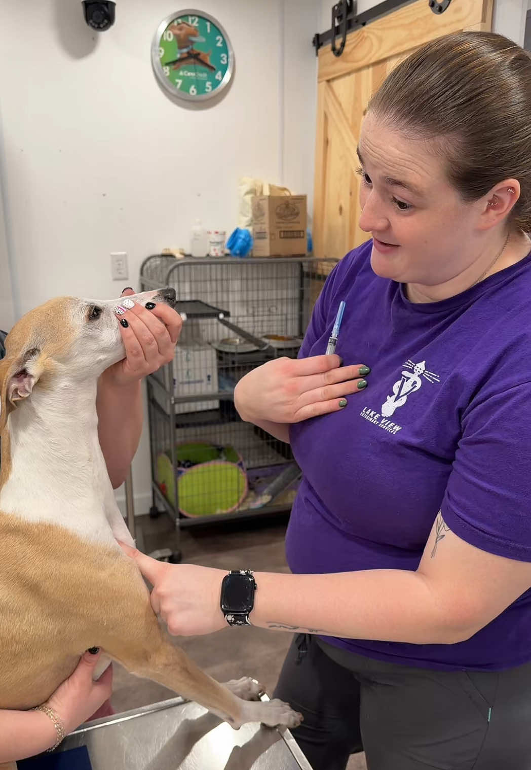 @Lake View Vet