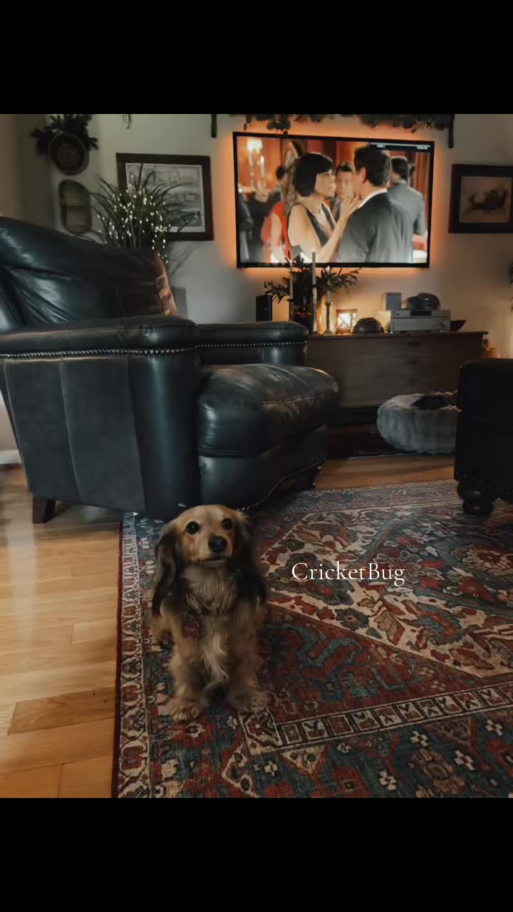 @Cricket Bug The Weenie