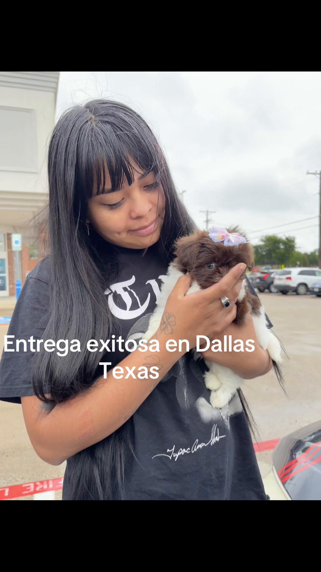 @Brenda Munoz