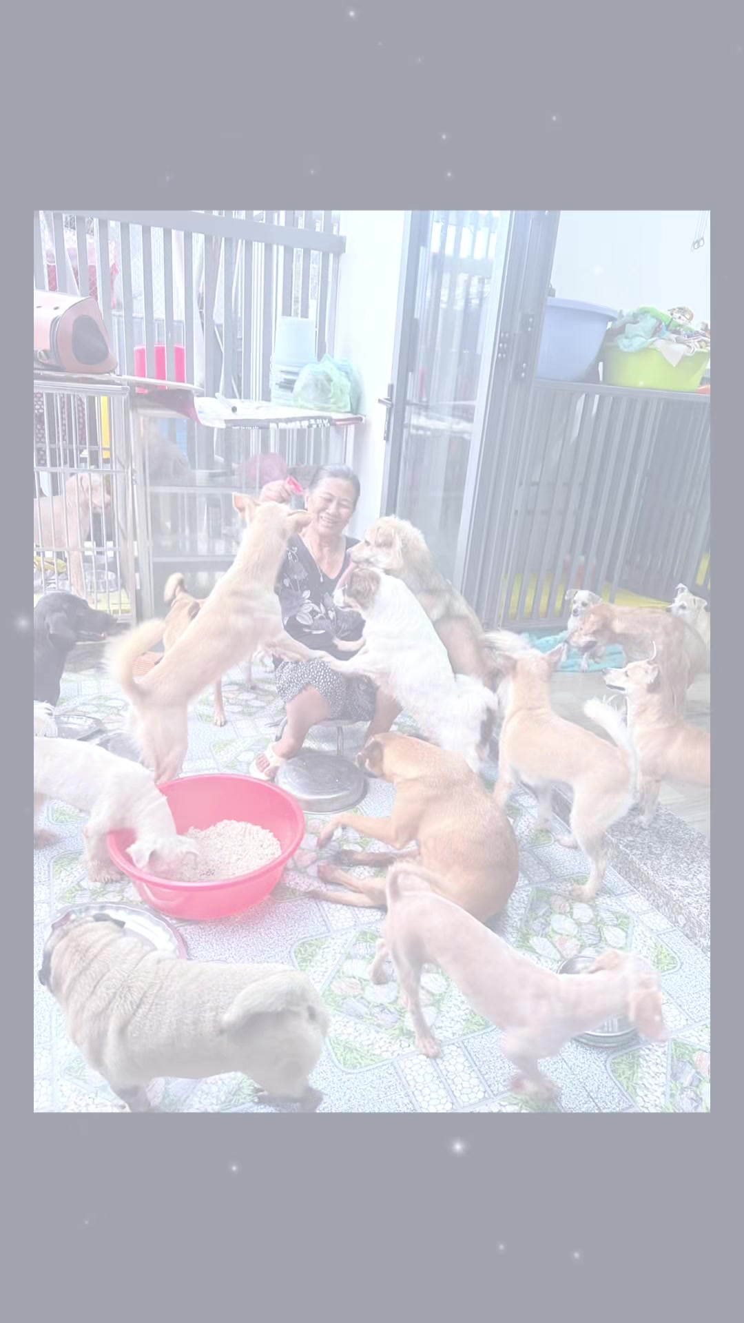 @yeuthuongchomeoba5