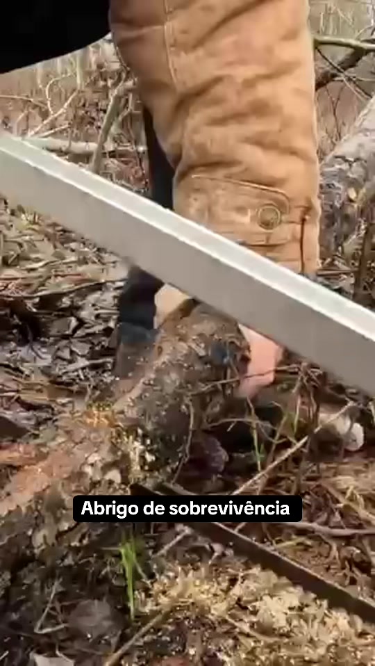 @Sobrevivente basico