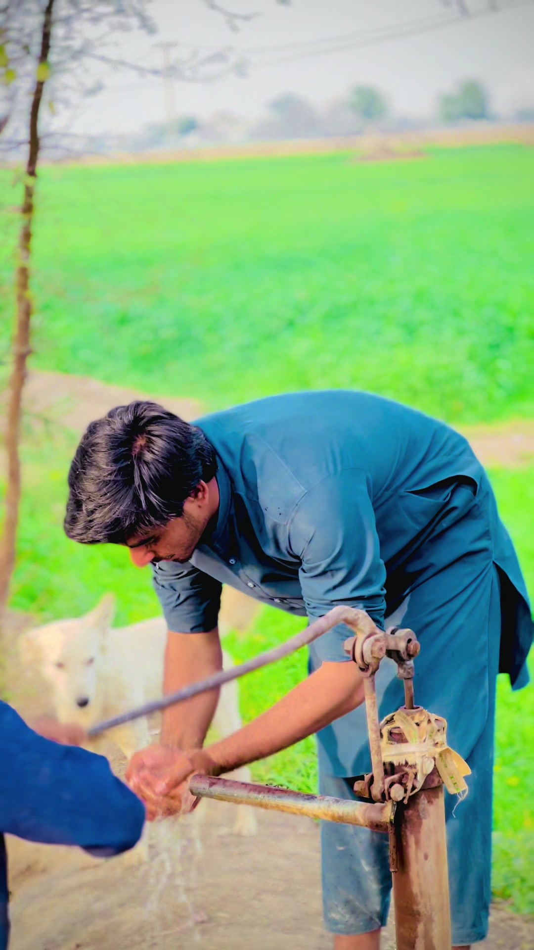@mujahidatta8