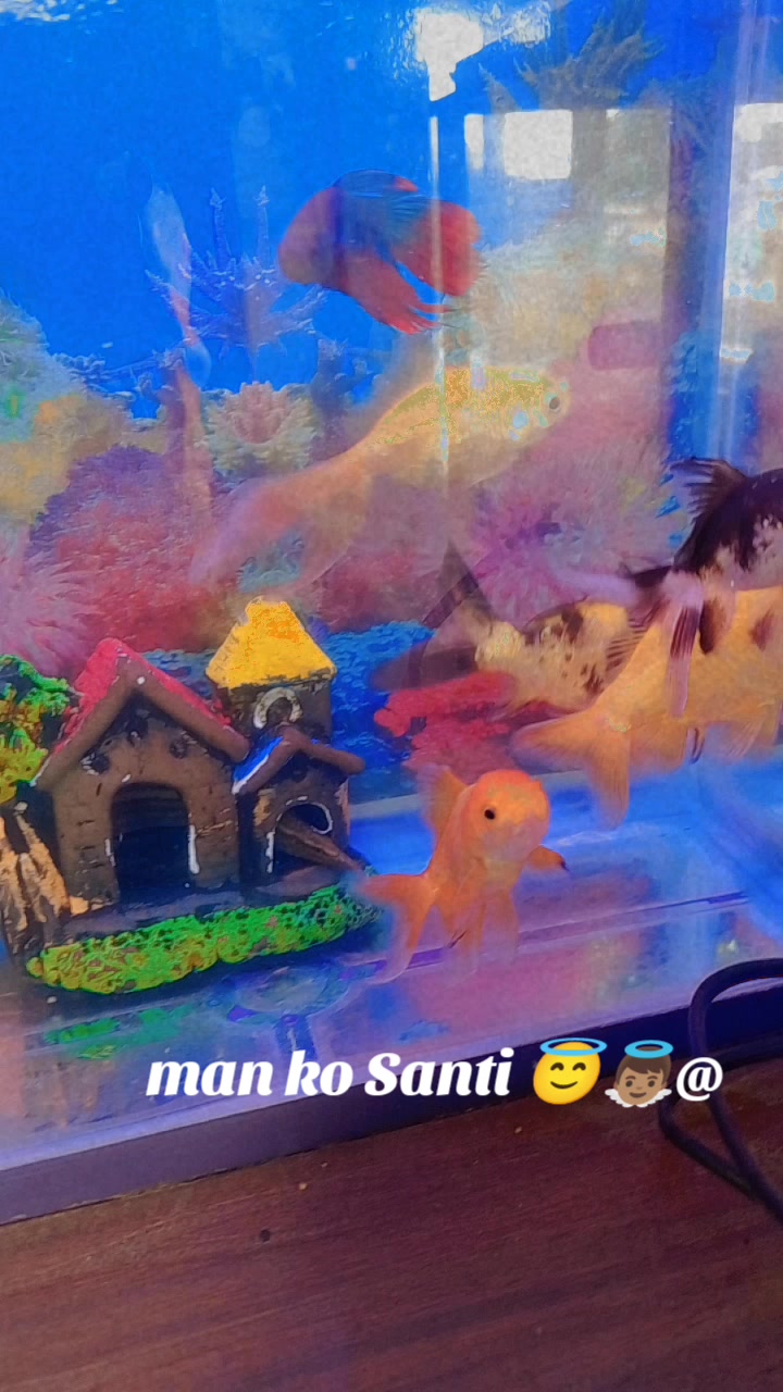 @Priyanka sanjog 😘♥️