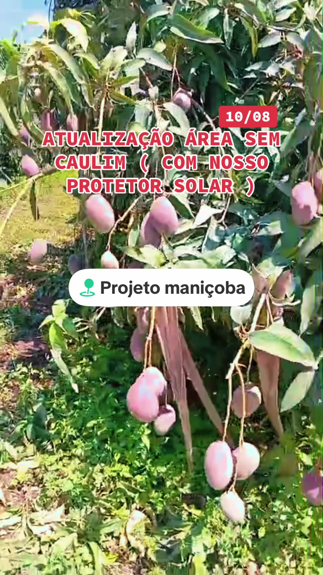 @flavio12inoveagro_oficial