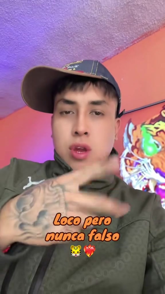 @tigrillo_mx